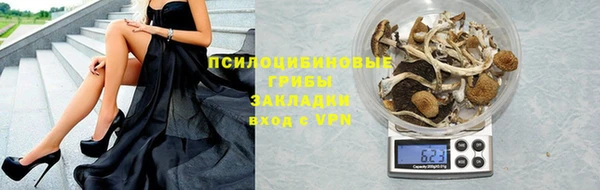 молекула духа Алзамай
