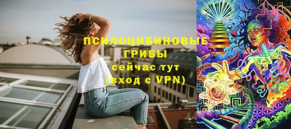 молекула духа Алзамай