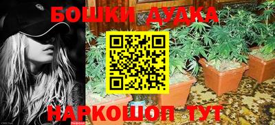 крисы Кандалакша
